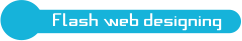 Flash Web Designing